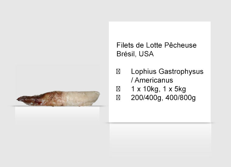 Filets de Lotte Pêcheuse Brésil, USA